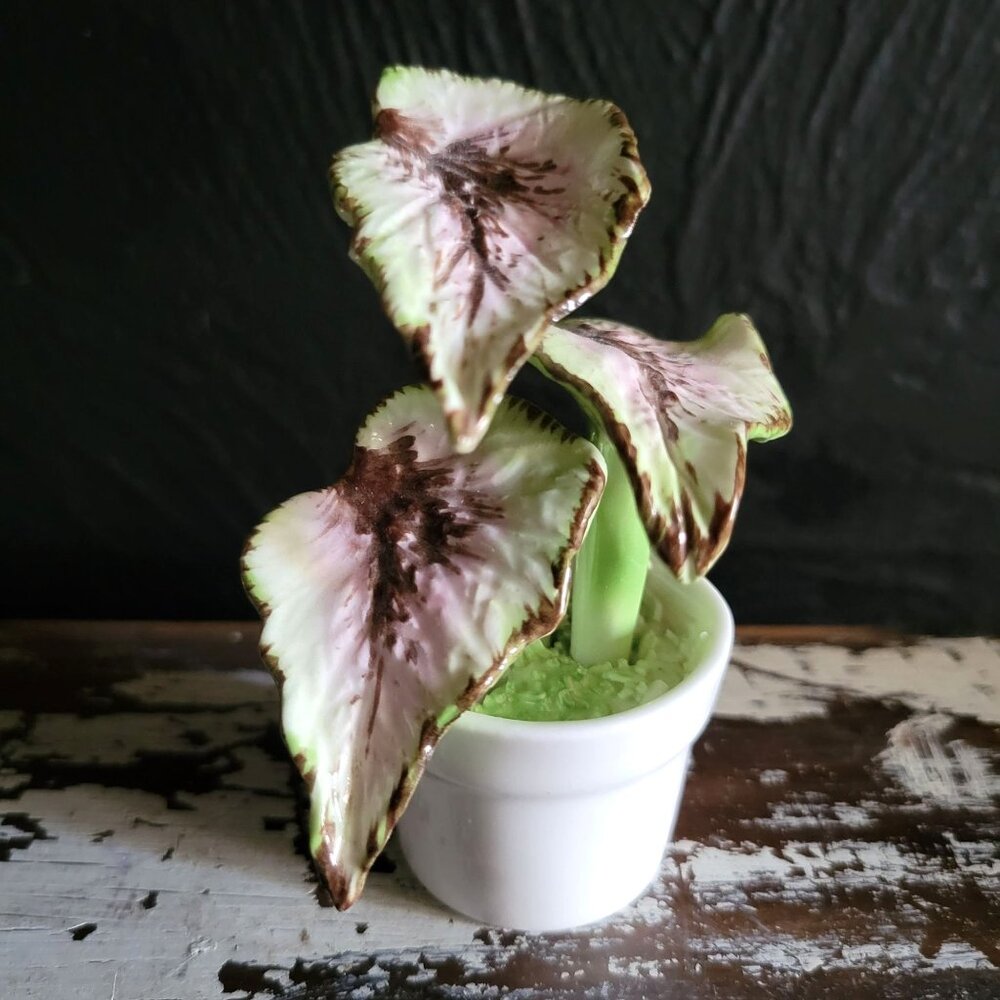 Vintage Royal York Fine Bone China Caladium Figurine England, Porcelain Plant